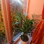 アパート Antik *