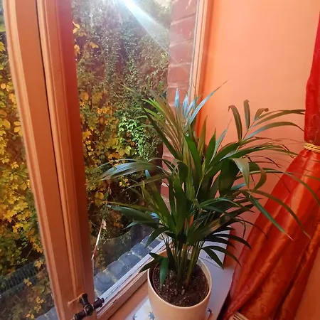 Apartment Antik *